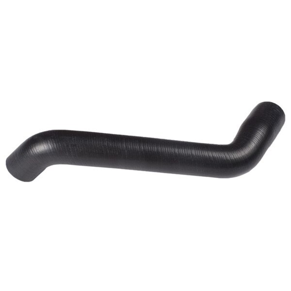 62046 Radiator Hose Bottom